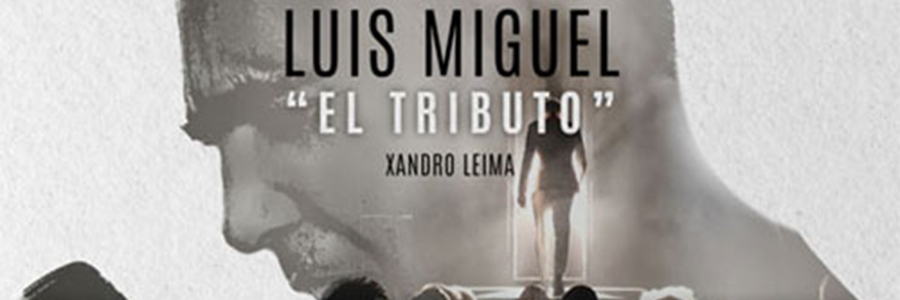 Imagen descriptiva de la noticia: Granada disfrutará del mejor tributo a Luis Miguel en noviembre